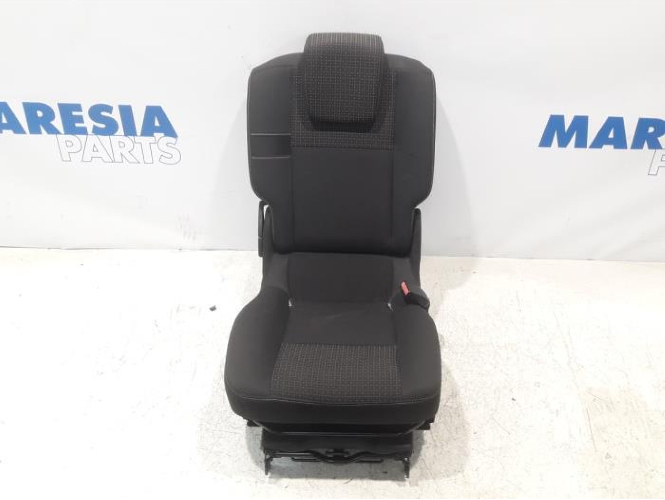 Renault - Scenic - Rear seat