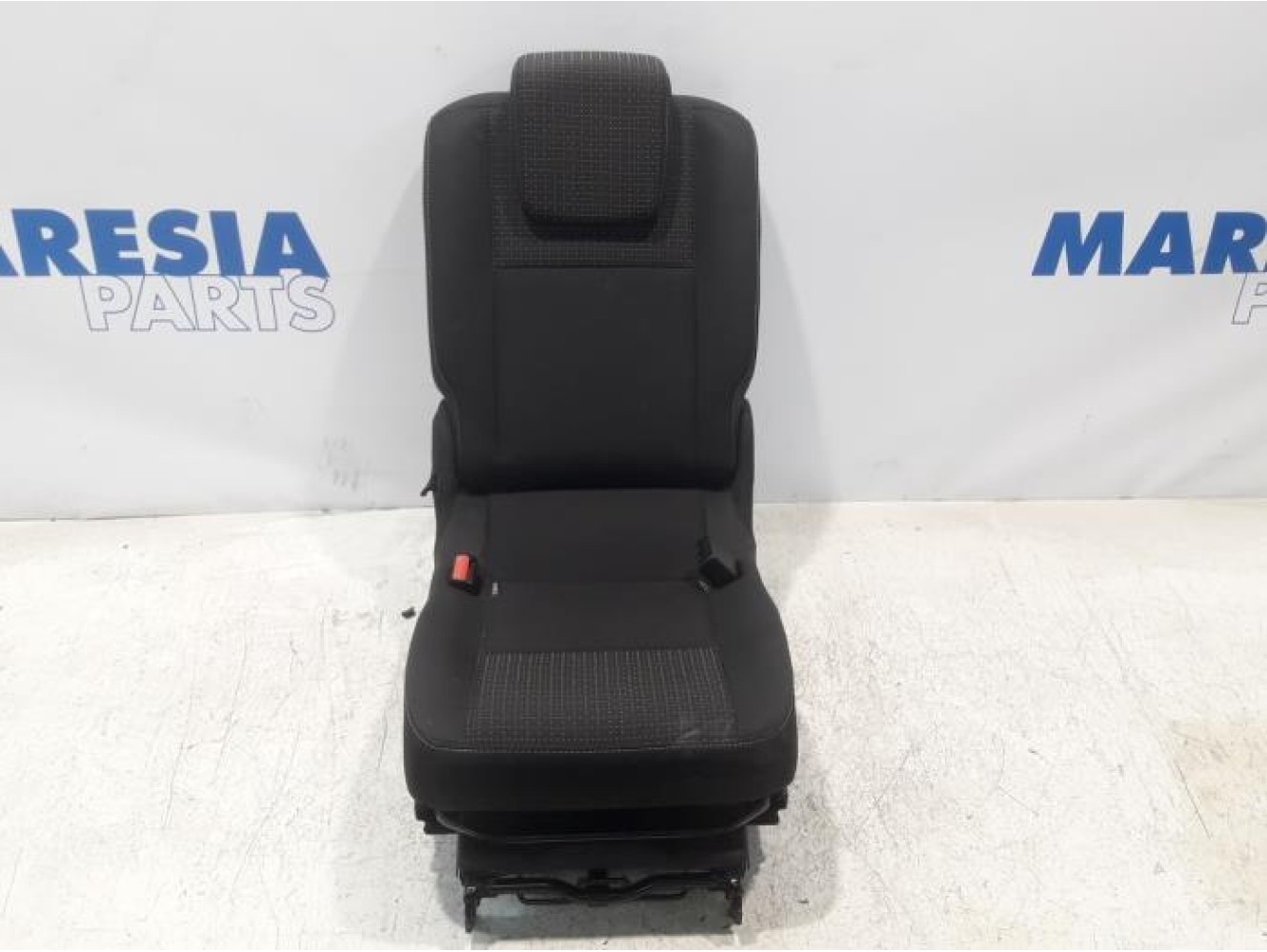 Renault - Scenic - Rear seat
