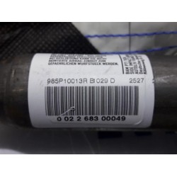 Renault - Scenic - Airbag hemel links