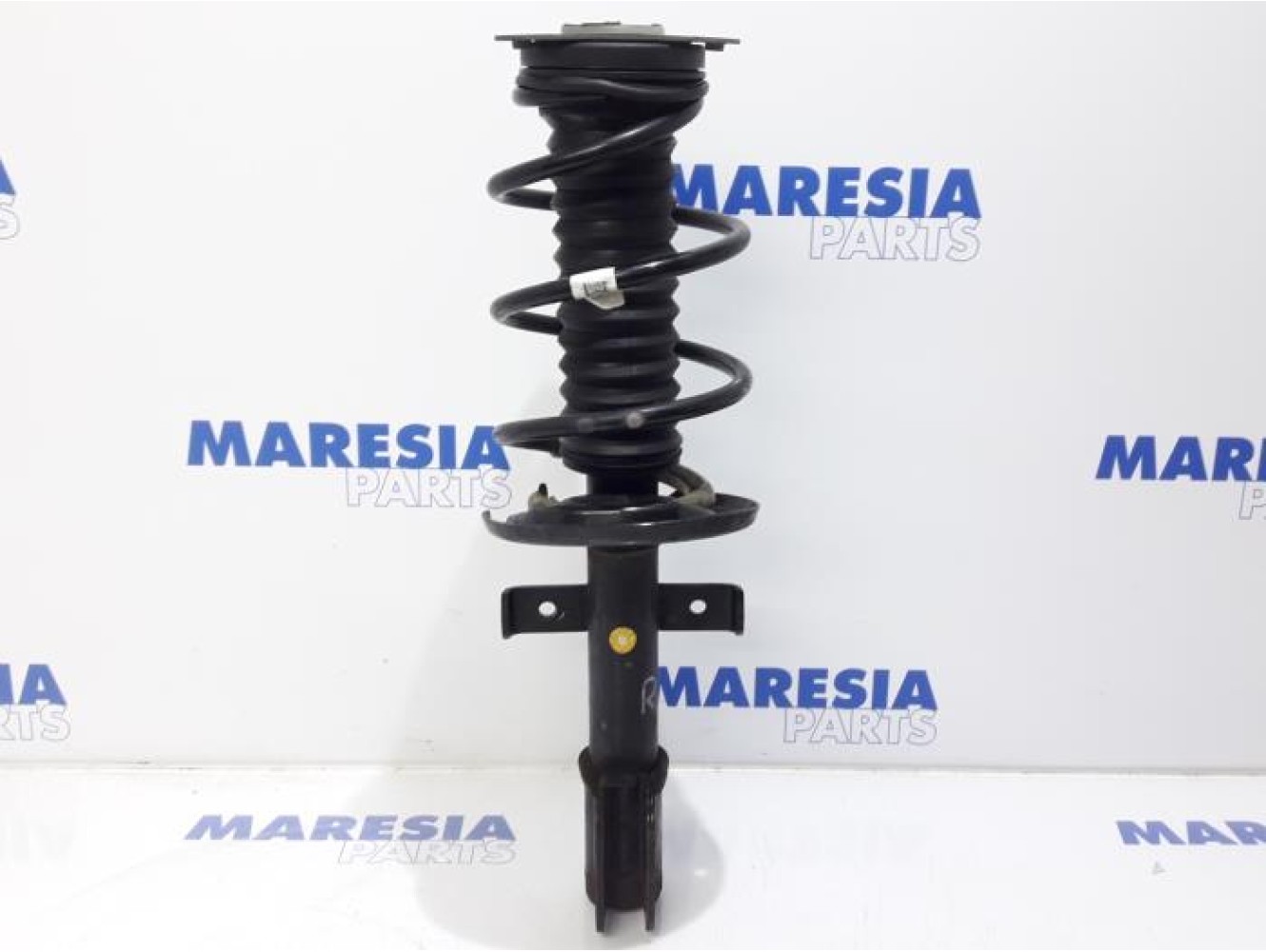 Renault - Clio - Front shock absorber rod, right