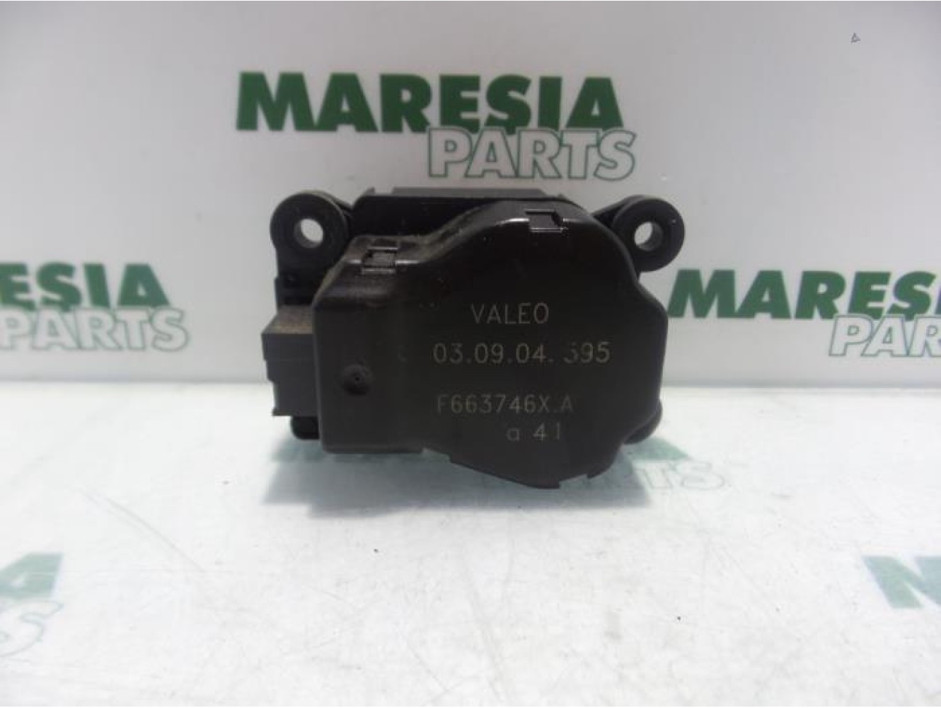 Renault - Megane - Kachelklep Motor