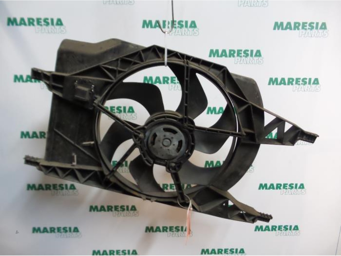 Renault - Laguna - Koelvin Motor
