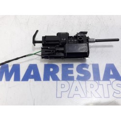 Renault - Megane - Tank cap cover