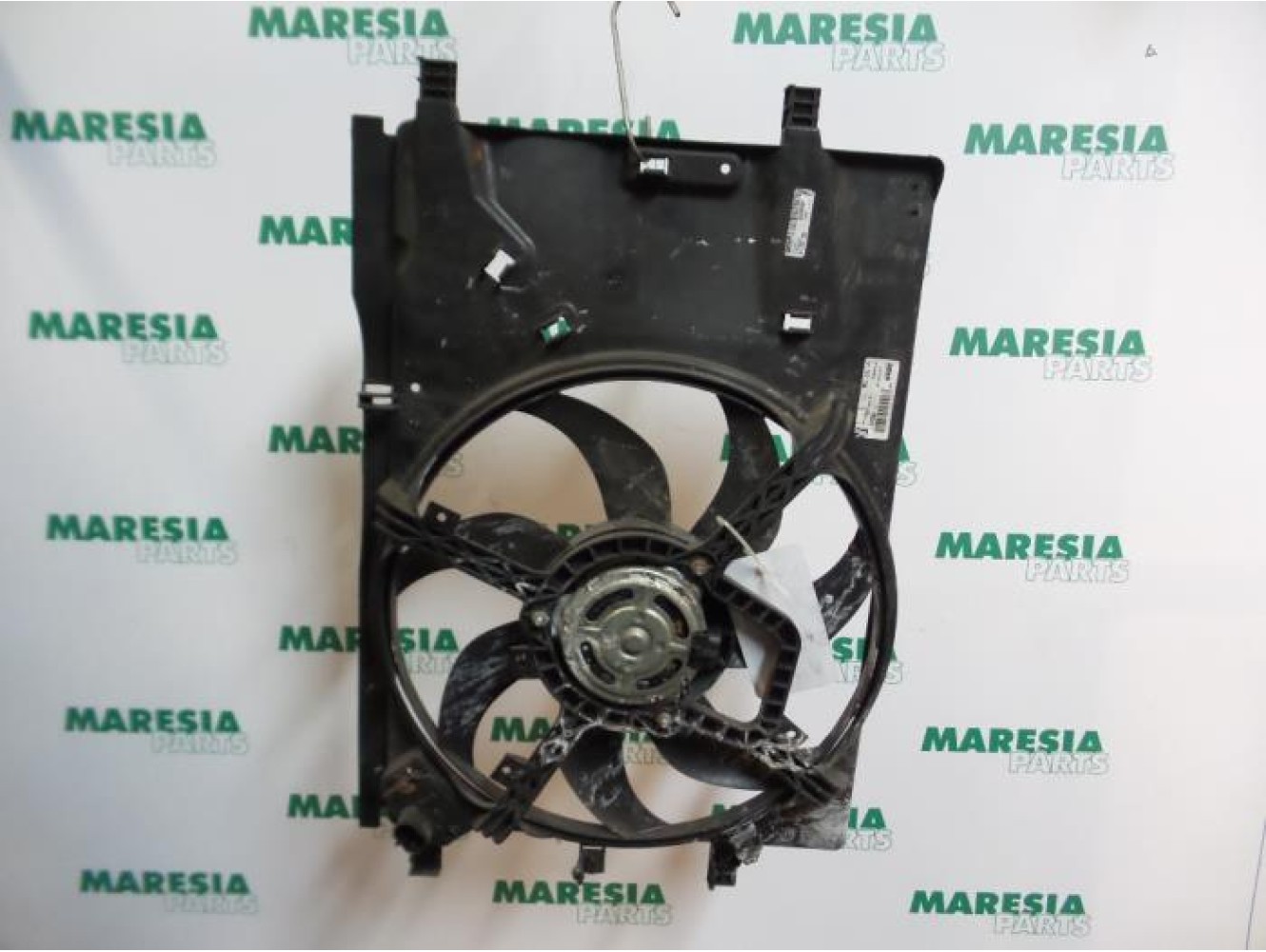 Fiat - Punto - Kühlgebläse Motor