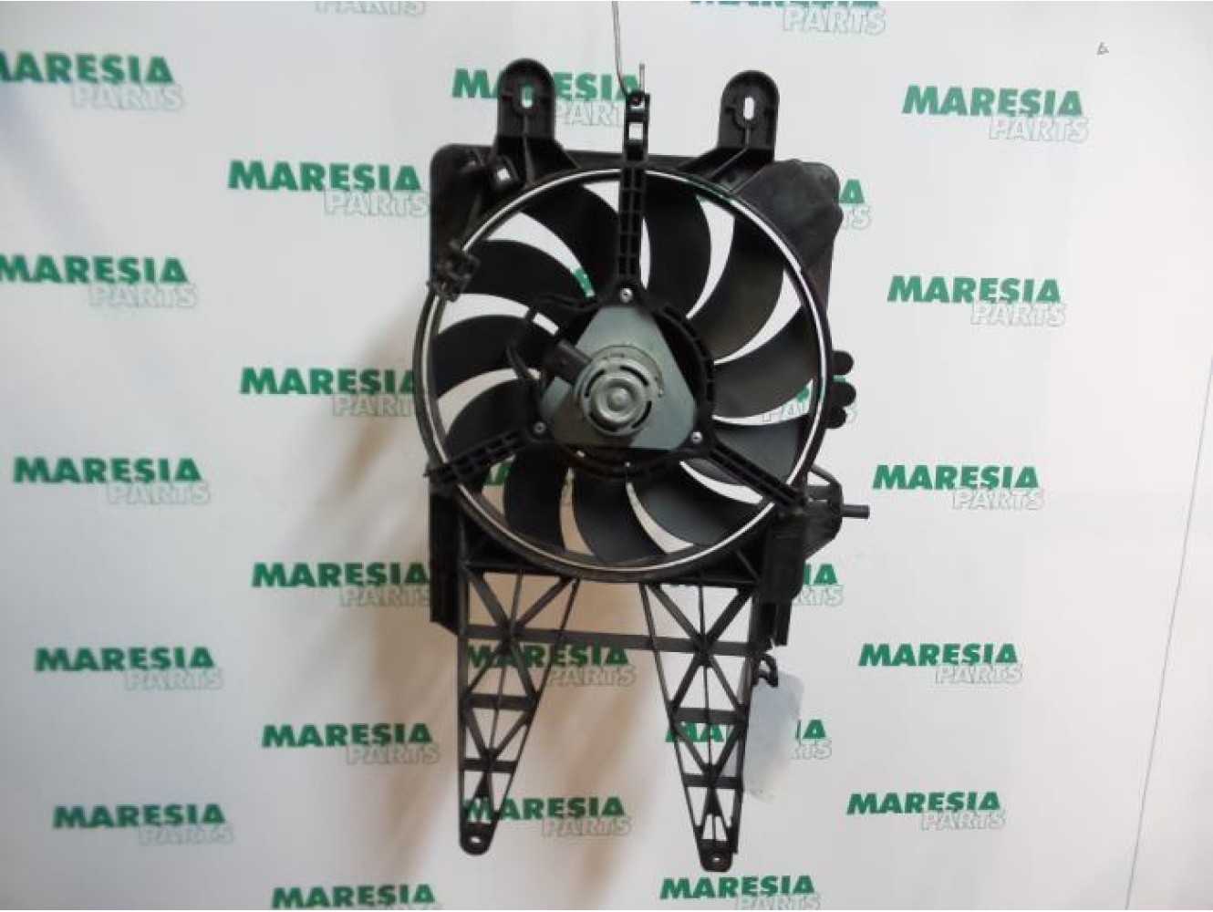 Fiat - Punto - Kühlgebläse Motor