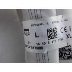 Renault - Megane - Airbag hemel links