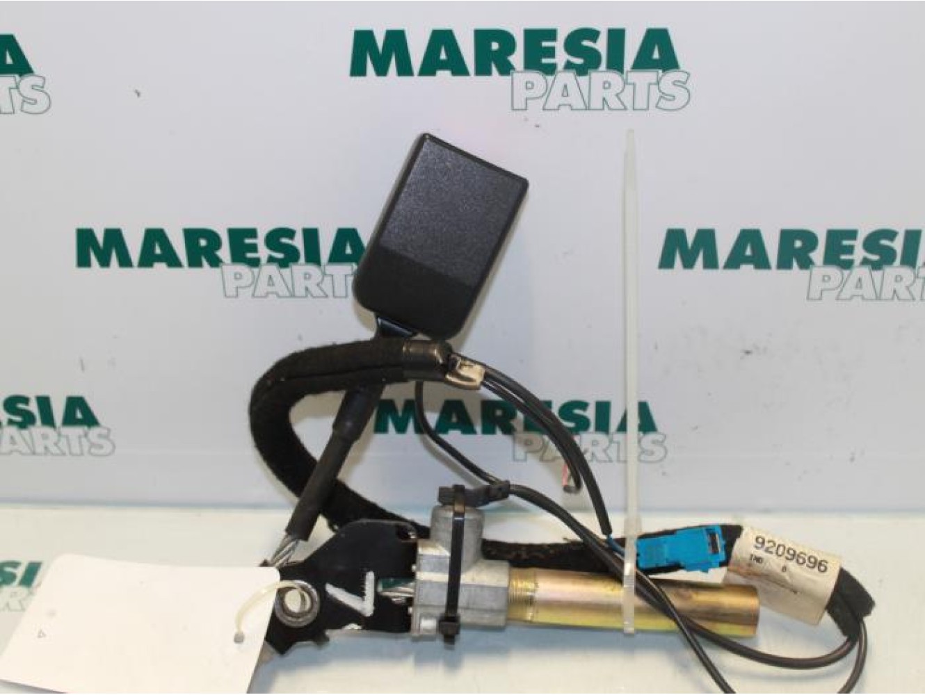 Renault - Megane Scenic - Gurtsrammer links