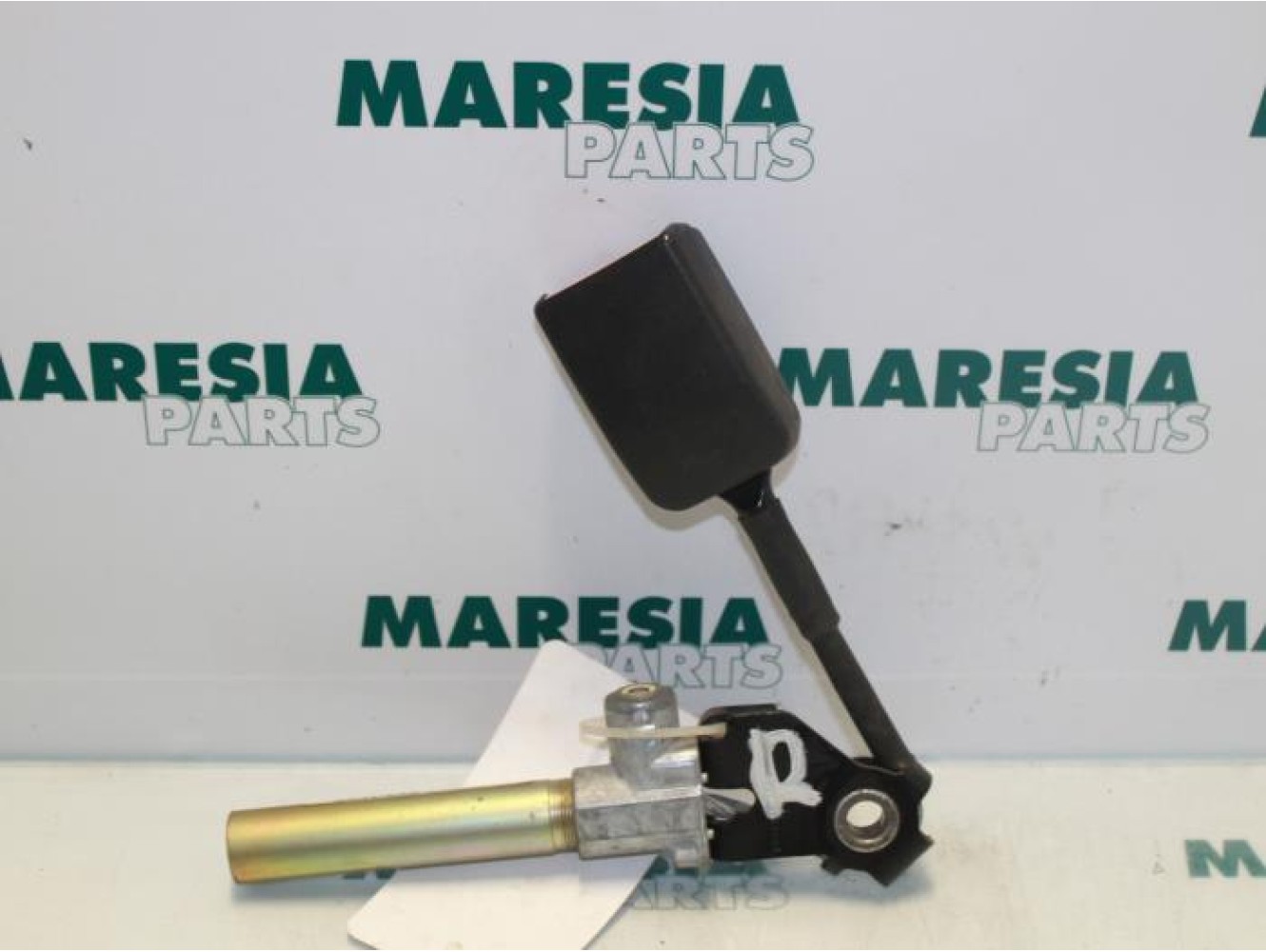 Renault - Megane Scenic - Gordelspanner rechts