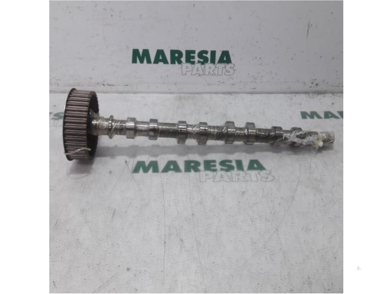 Renault - Megane - Camshaft
