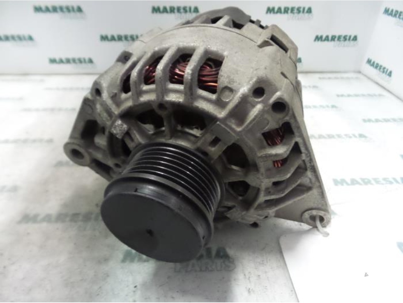 Renault - Megane Scenic - Dynamo