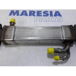 Fiat - Ducato - Tube RGE