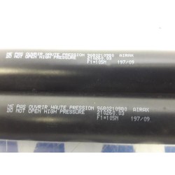 Peugeot - 207 - Set of tailgate gas struts