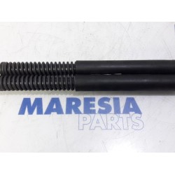 Peugeot - 308 - Set of tailgate gas struts
