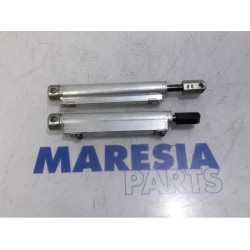Peugeot - 207 - Set of tailgate gas struts