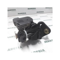 Renault - Kangoo - Front seatbelt, right
