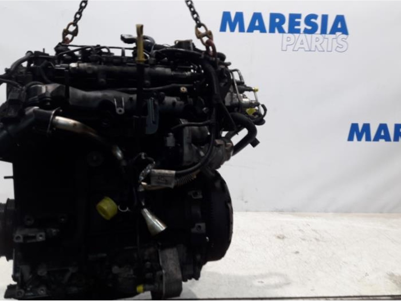 Fiat - Ducato - Motor