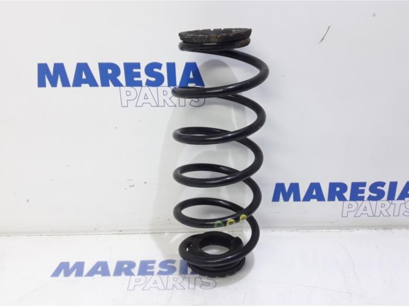 Fiat - Bravo - Rear coil spring