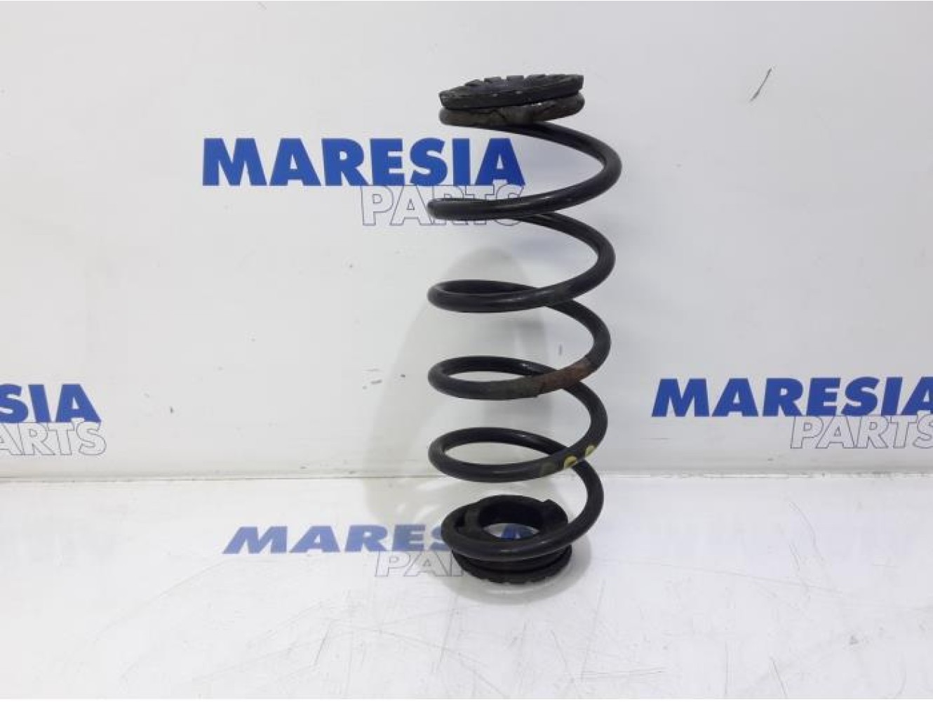 Fiat - Bravo - Rear coil spring