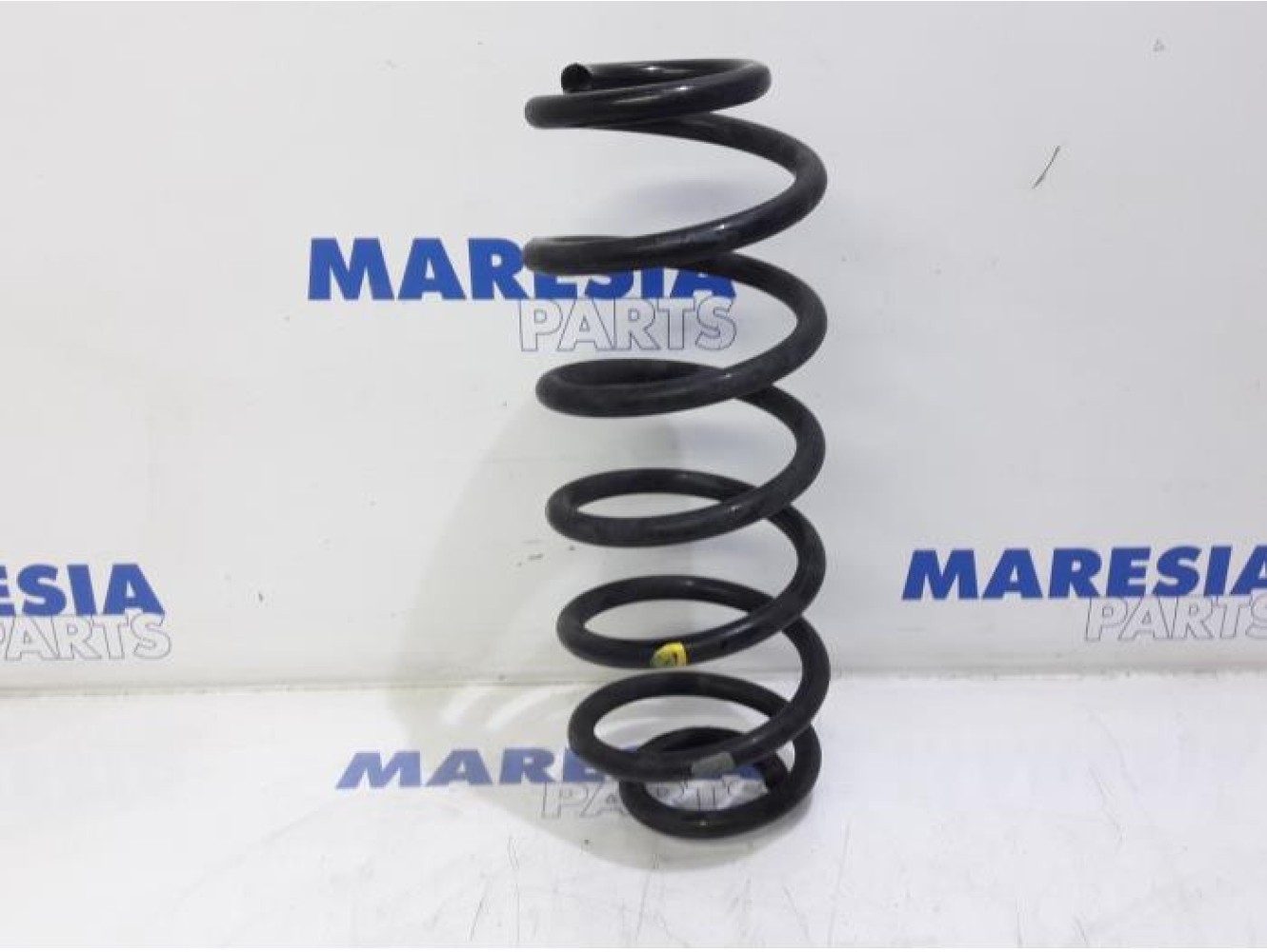 Fiat - Doblo - Rear coil spring