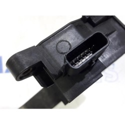 Renault - Scenic - Gaspedalposition Sensor