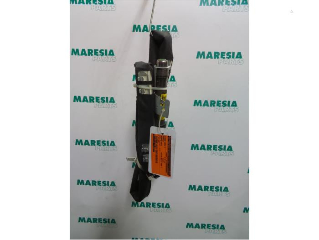 Renault - Megane Scenic - Airbag hemel links