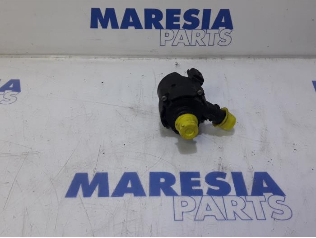 Renault - Master - Wasserpumpe