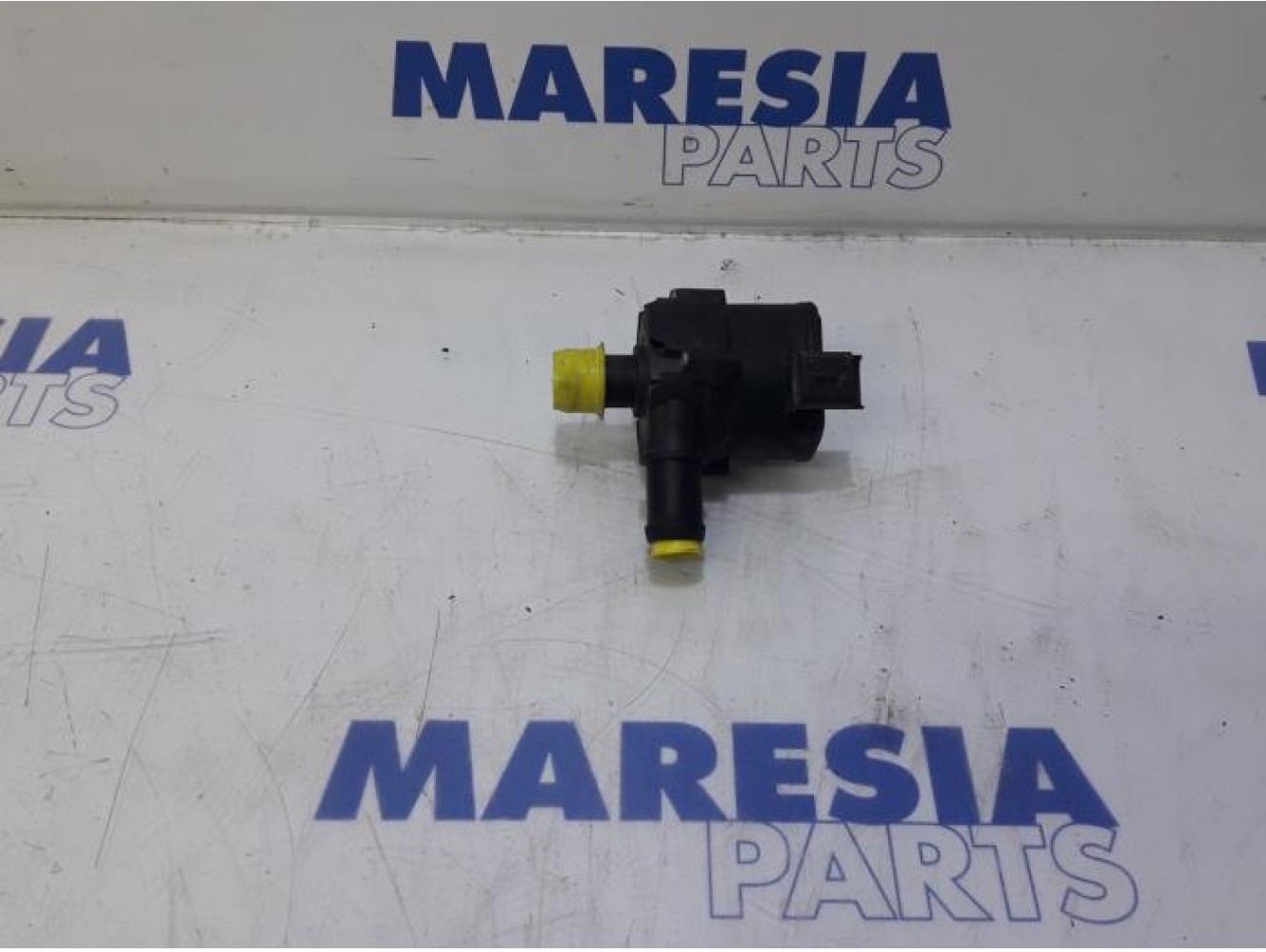 Renault - Master - Pompe à eau