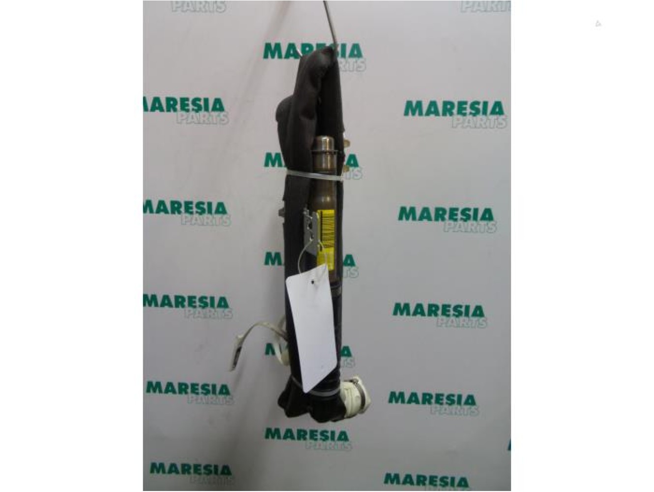 Renault - Megane Scenic - Airbag hemel links