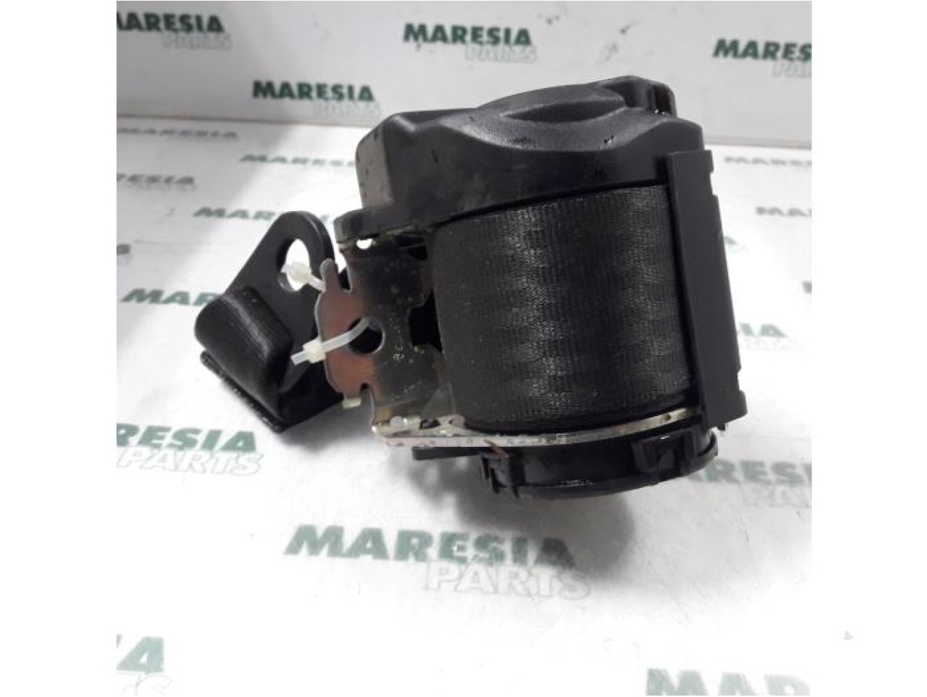 Fiat - Panda - Sicherheitsgurt links hinten
