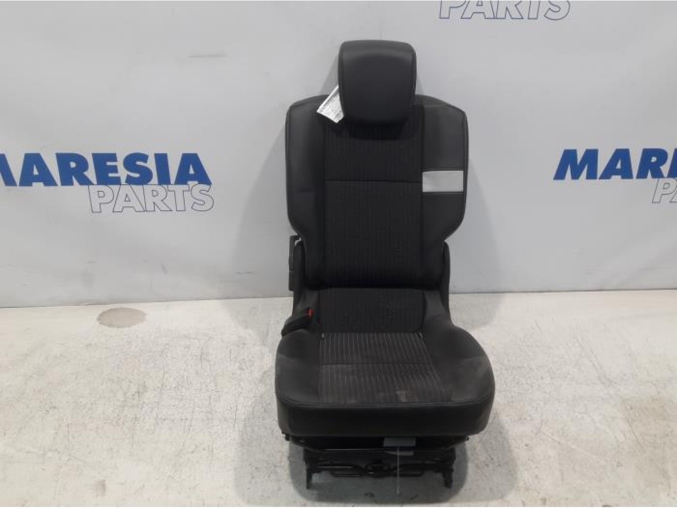 Renault - Scenic - Sitz hinten