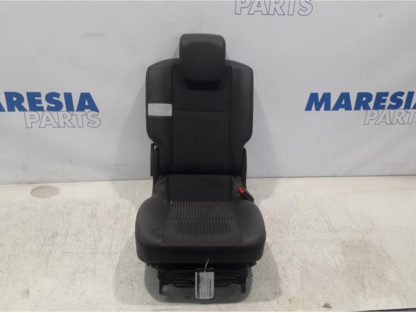 Renault - Scenic - Rear seat