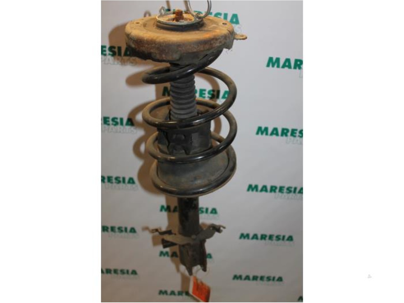 Renault - Megane Scenic - Front shock absorber rod, left