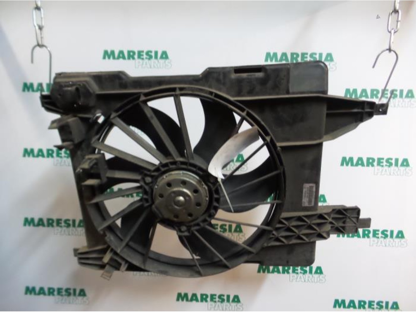 Renault - Megane Scenic - Kühlgebläse Motor
