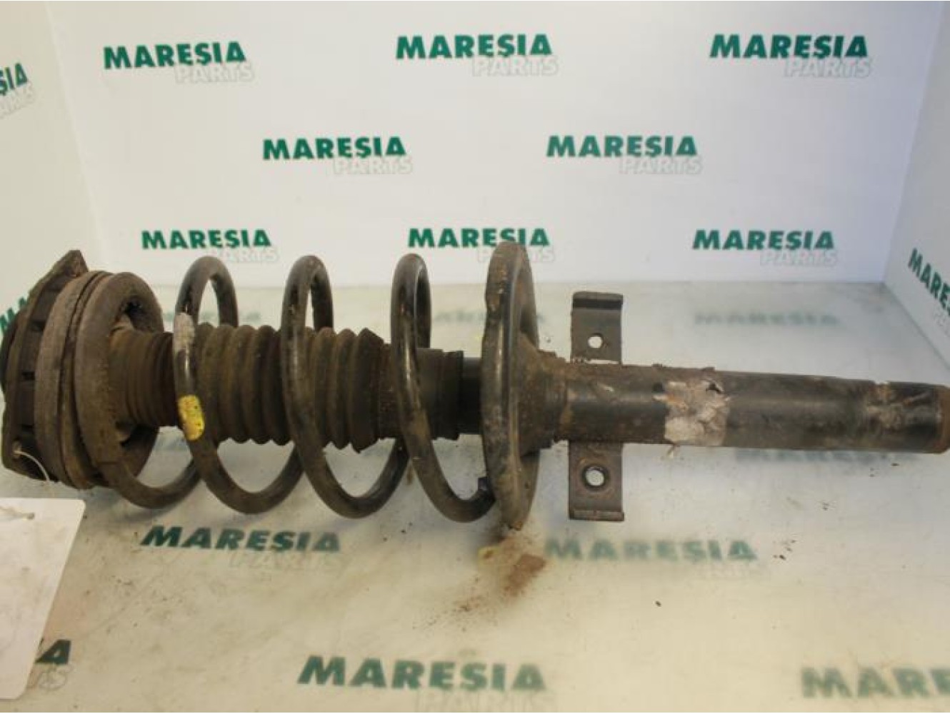 Renault - Megane Scenic - Front shock absorber rod, right