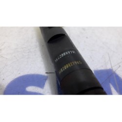 Renault - Clio - Injector (diesel)