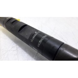 Renault - Clio - Injector (diesel)