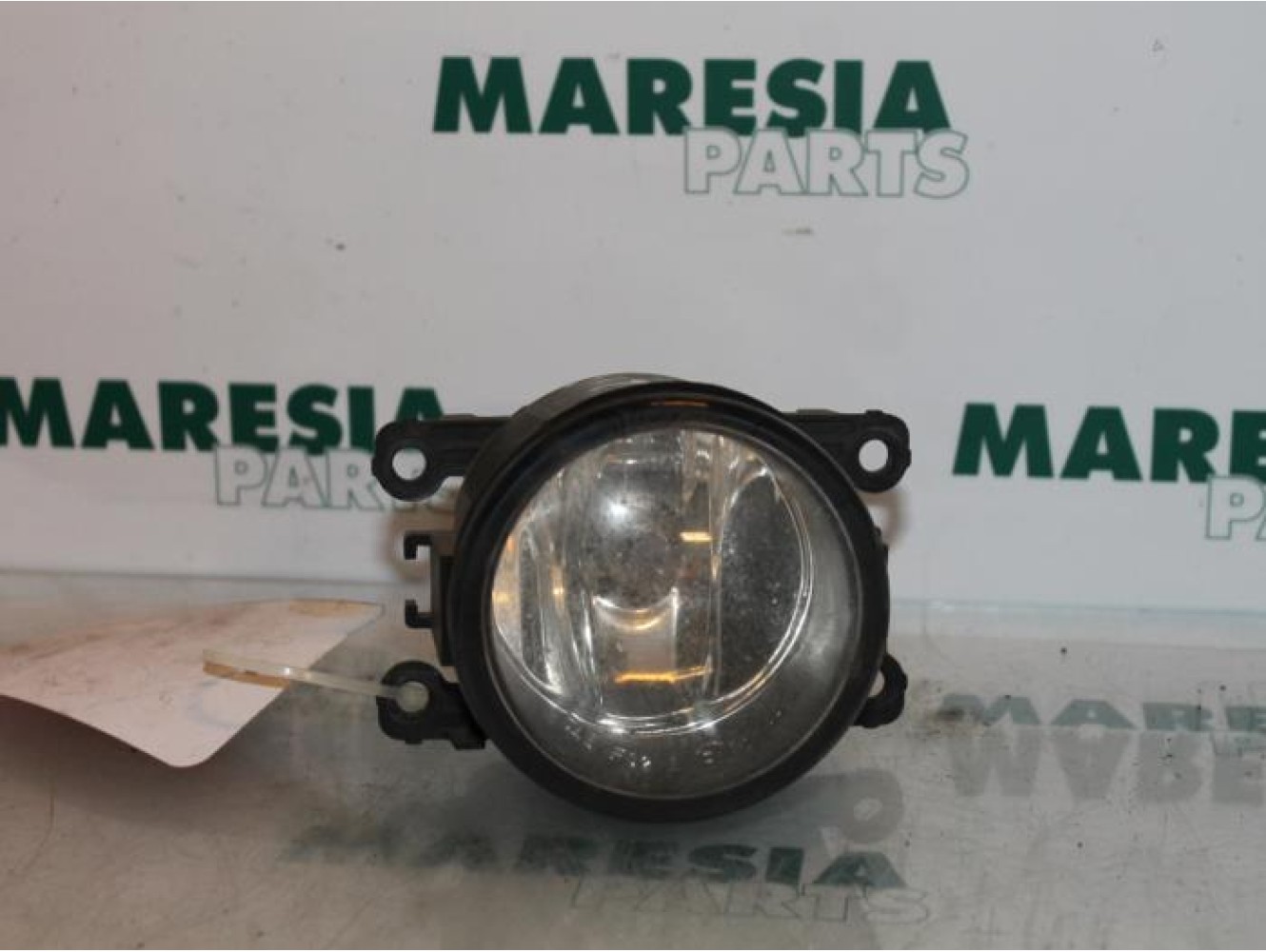 Renault - Laguna - Fog light, front left
