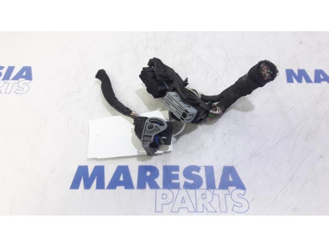 Renault - Megane Scenic - Wiring harness