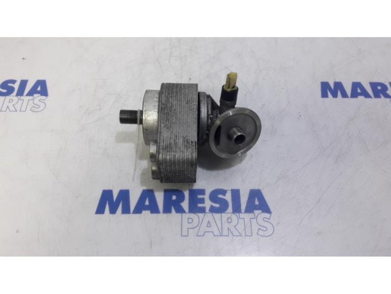 Renault - Megane - Oil filter holder