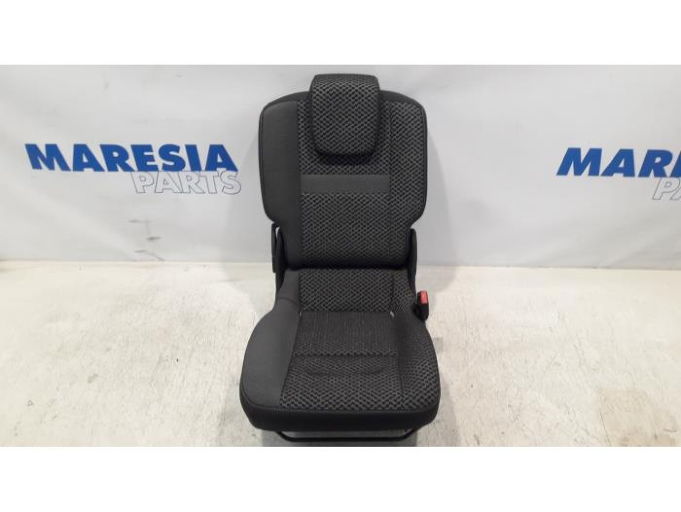 Renault - Scenic - Rear seat