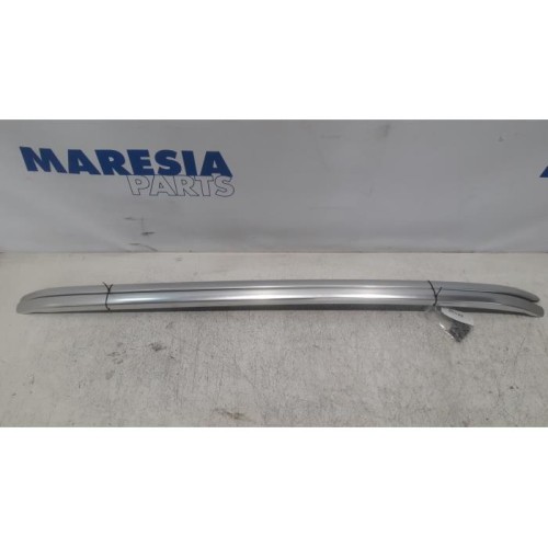 Renault - Megane - Dachreling Set