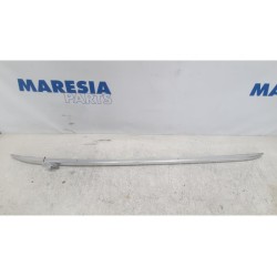 Renault - Megane - Dachreling links