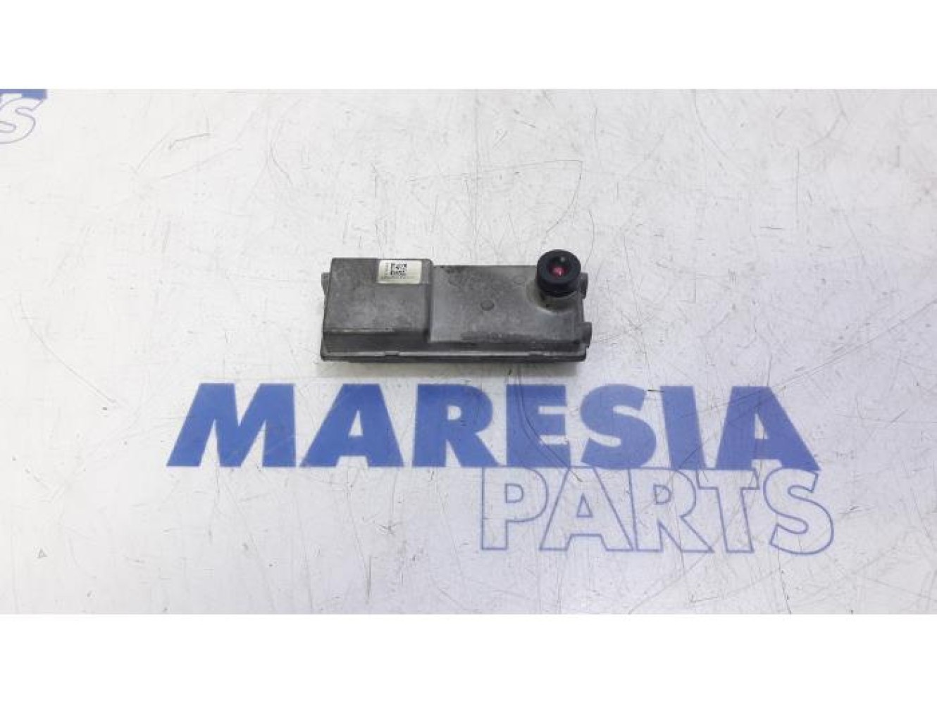 Renault - Megane - Reversing camera