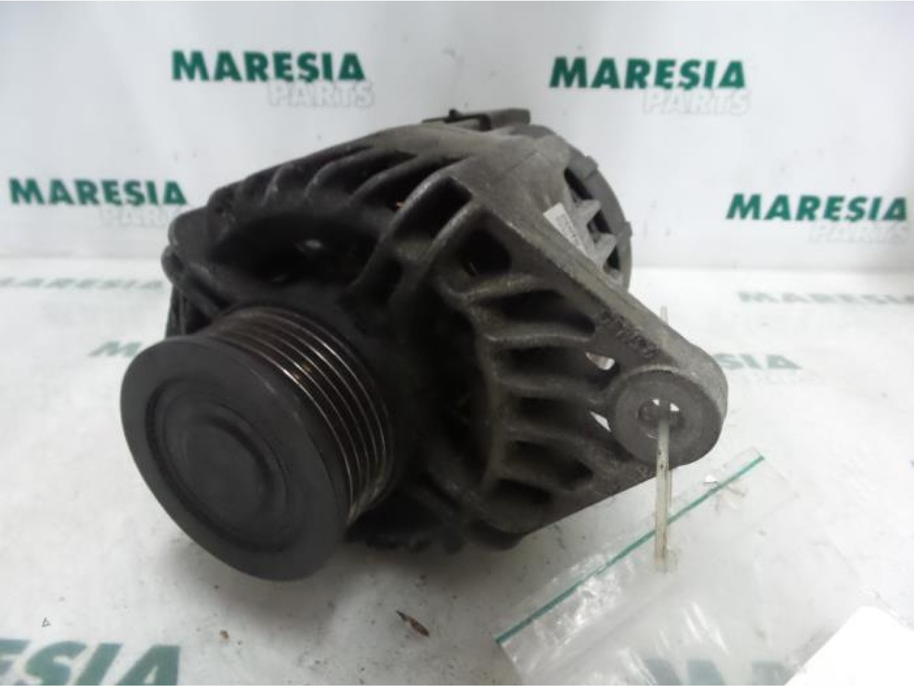 Fiat - Stilo - Dynamo