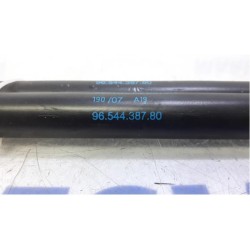 Citroen - C4 Picasso - Set Gasdämpfer Heckklappe