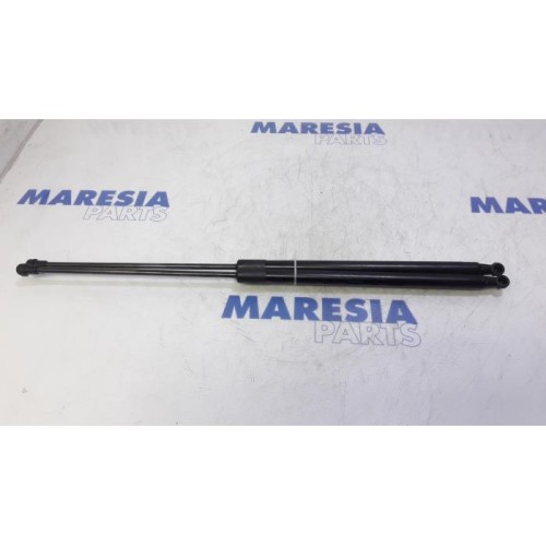 Citroen - C4 Picasso - Set of tailgate gas struts