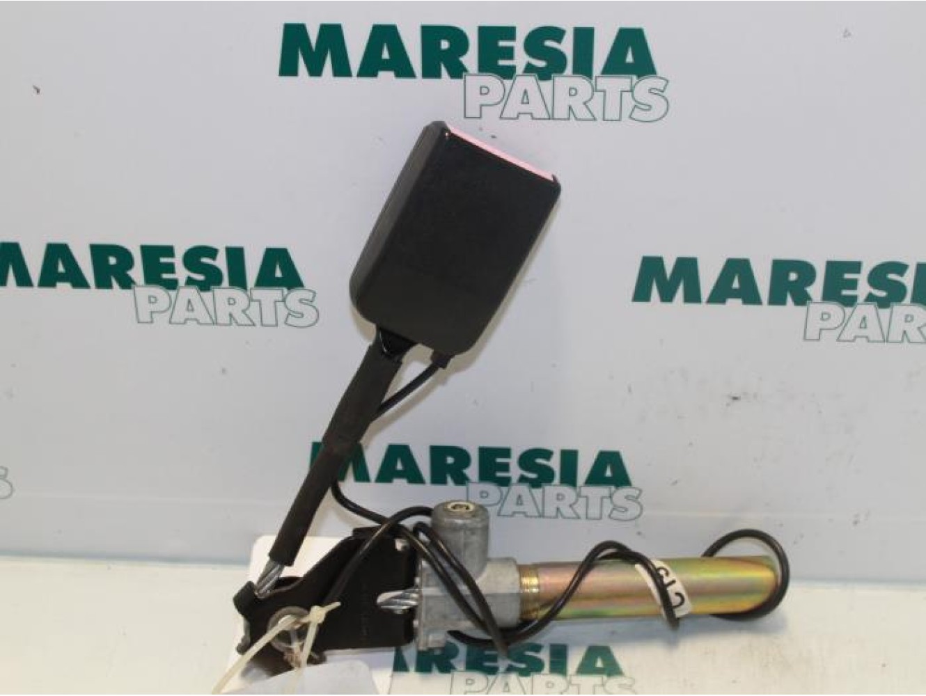 Renault - Megane Scenic - Gordelspanner links