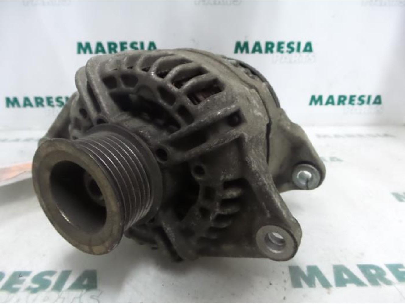 Fiat - Ducato - Dynamo
