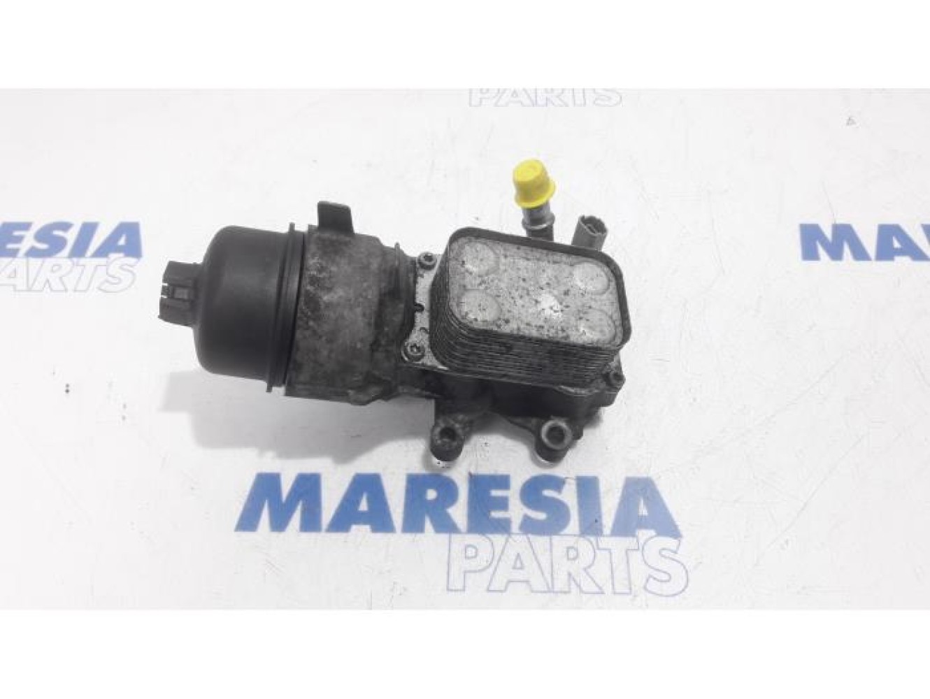 Peugeot - 307 - Oil filter holder