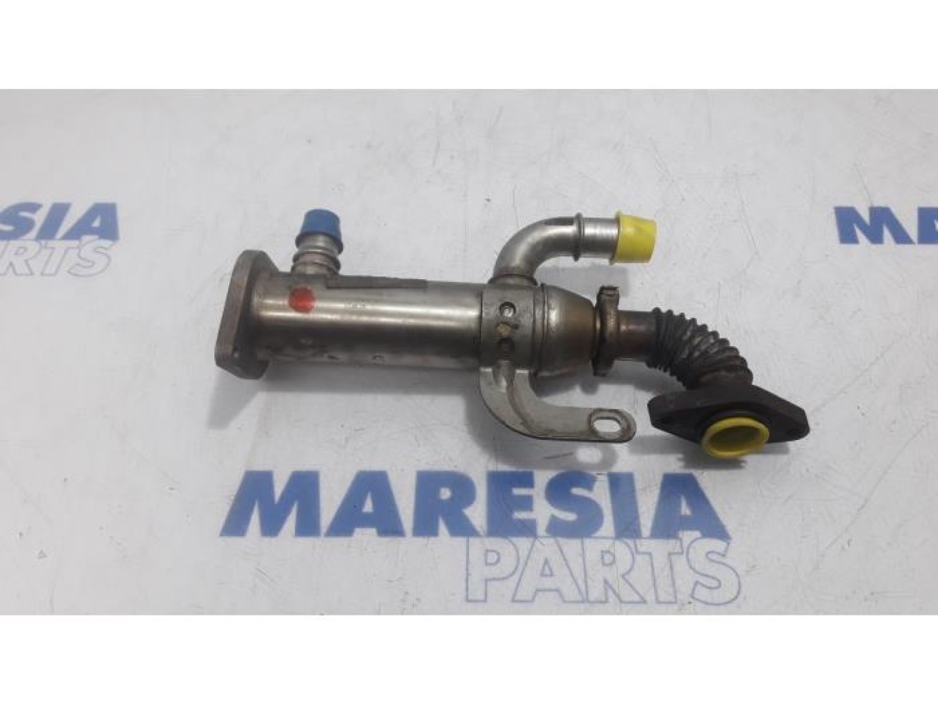 Fiat - Scudo - EGR koeler